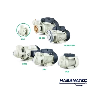 Bomba Periférica Serie PM16/PKM/QB/DB/KF/1